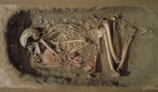 Skelett från Skateholm av en gammal man och ett barn. Barnet är begravt senare än mannen. Foto: Statens historiska museum. 