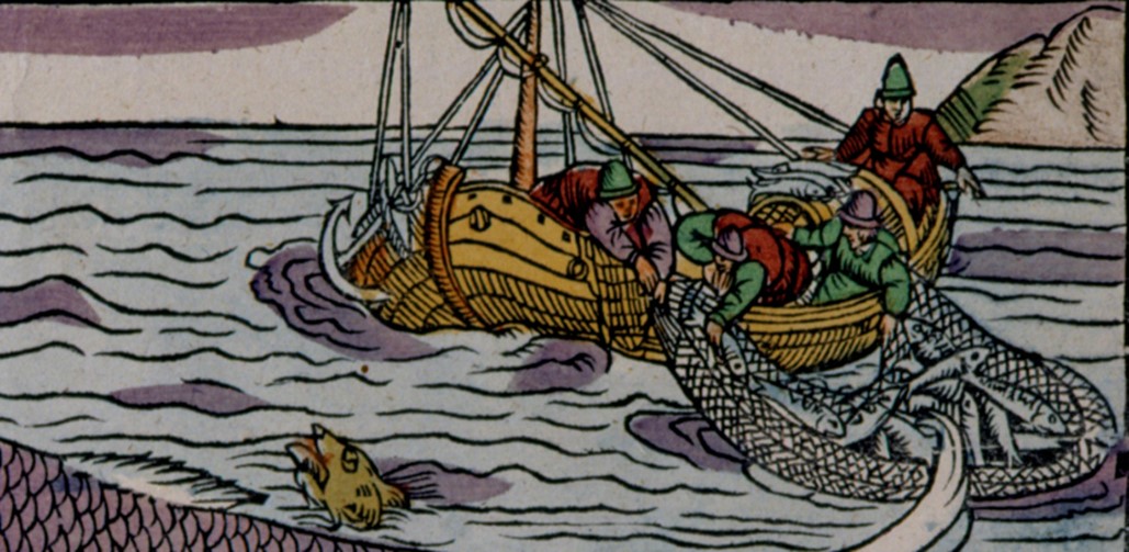 Färglagd teckning. En båt med fyra fiskare som drar upp garn med 20-tal sillar.