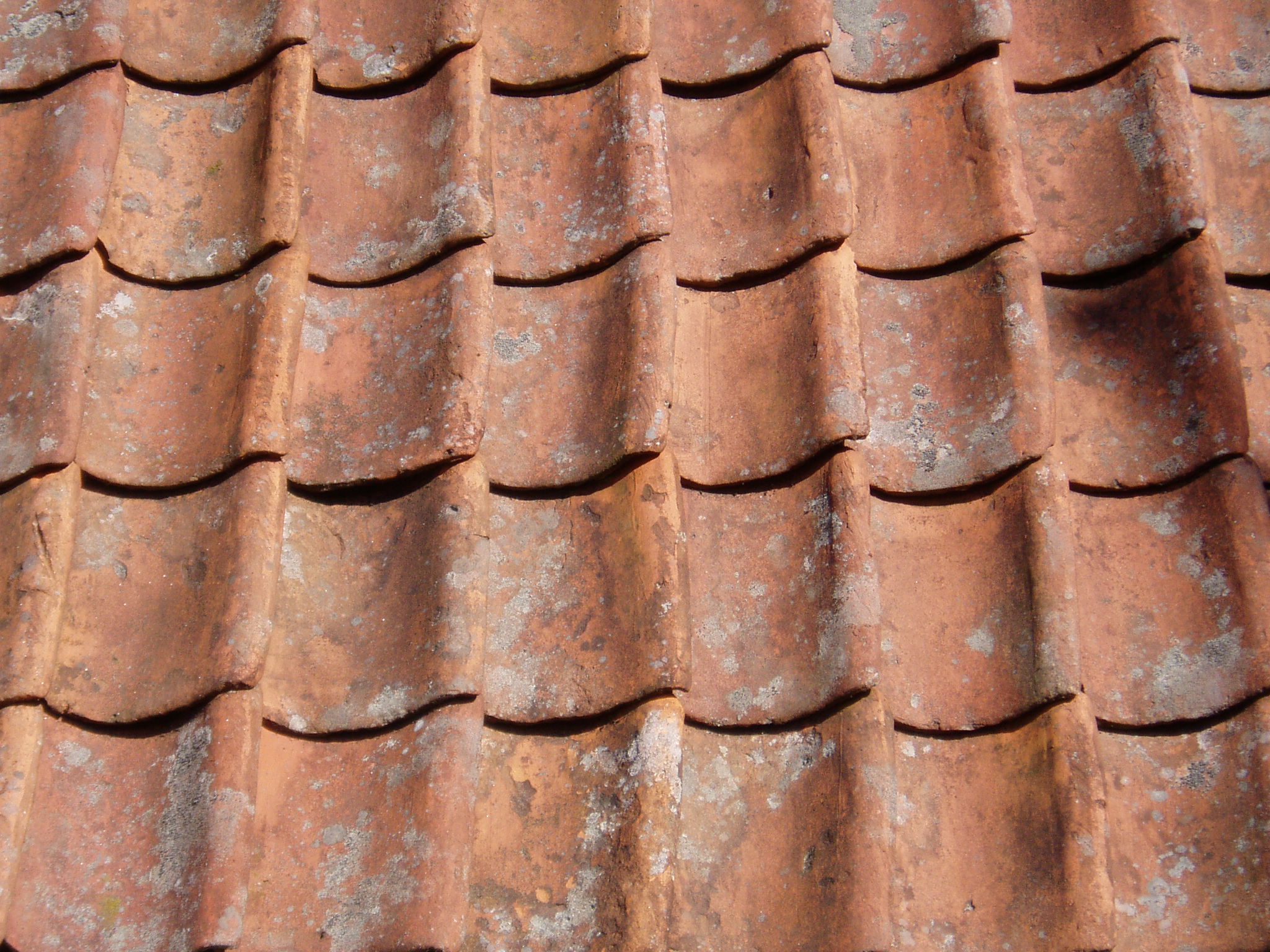 Foto: Detaljbild av tak med röda enkupiga tegelpannor.