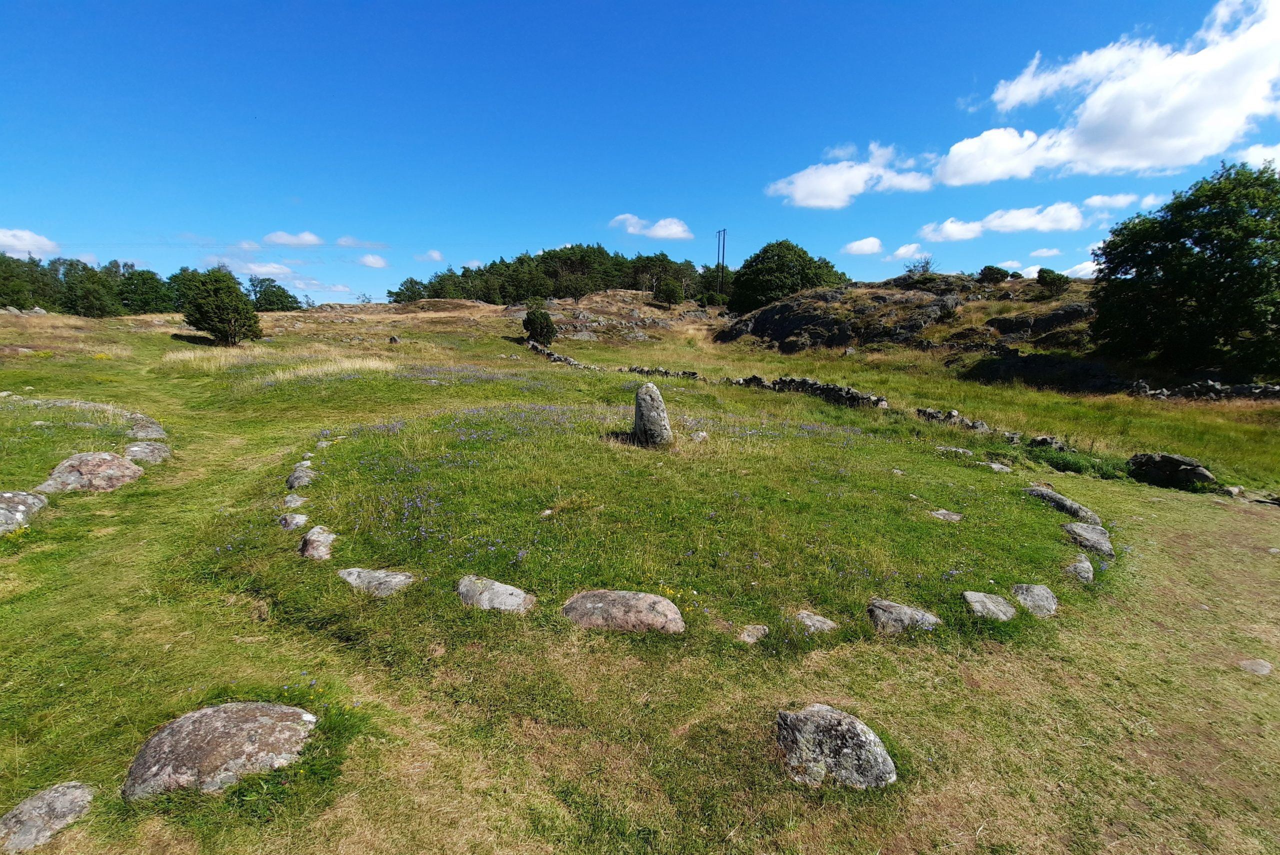 Foto. Äldre gravfält i öppen grönska med synliga rundade stenar placerade i cirkel.