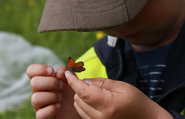 Ett barn som undersöker en fjäril