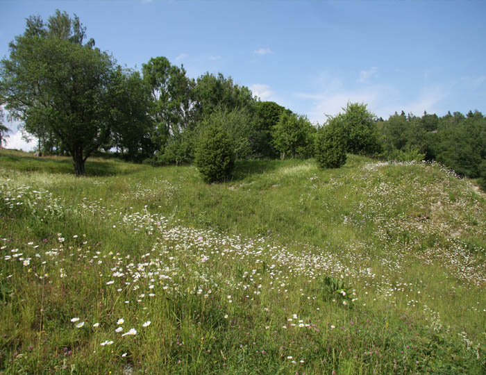 sommarskada
