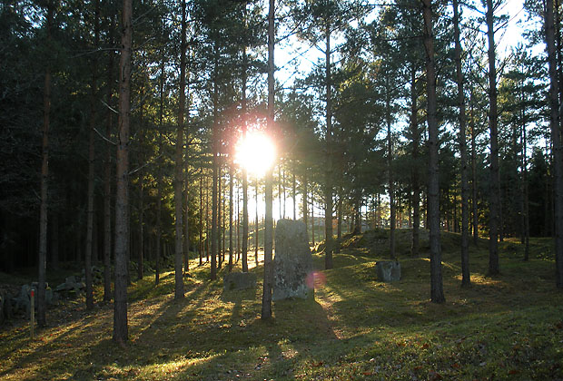 Bild på Vrångstad gravfält.
