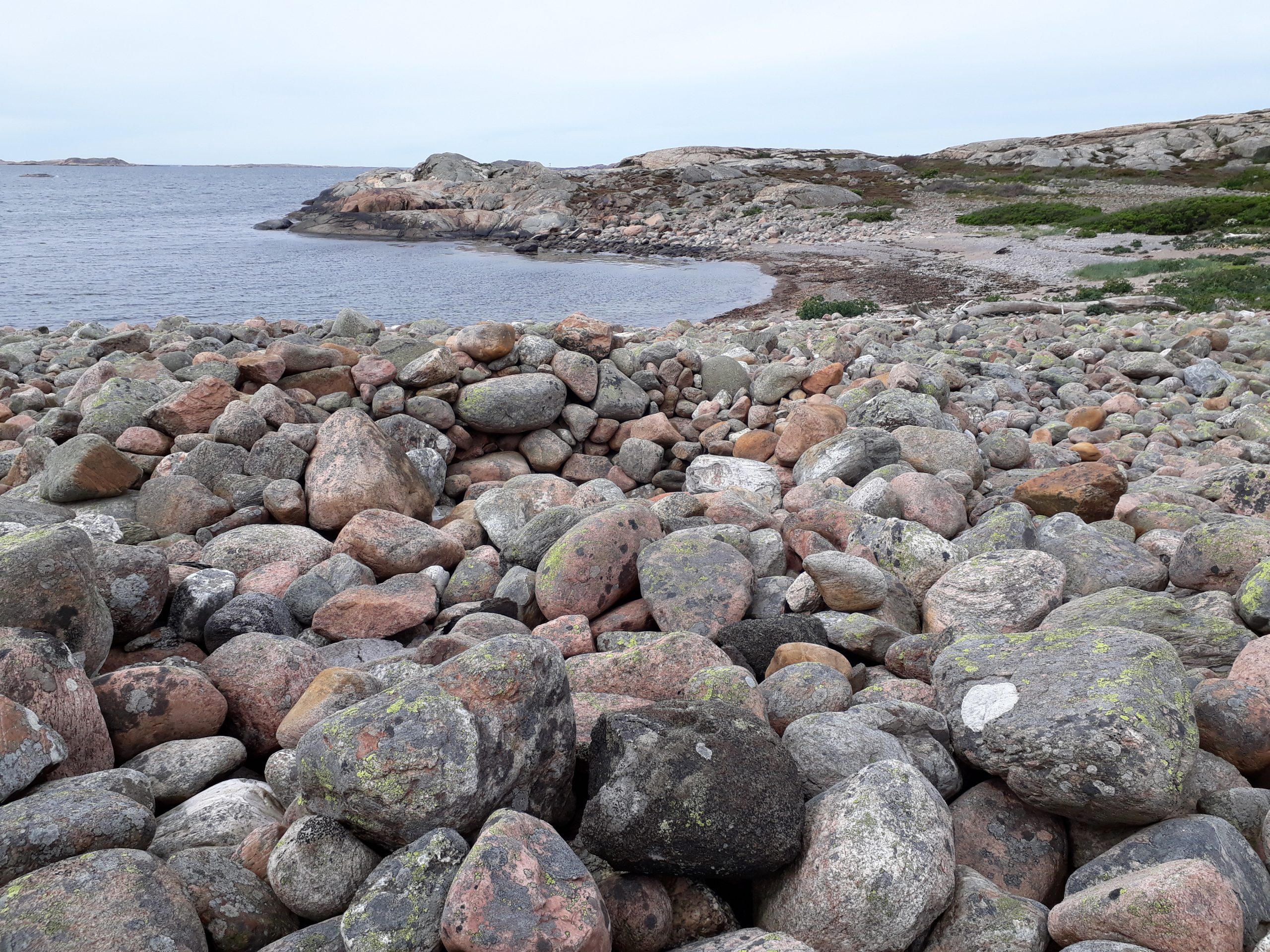 Färgfoto på ett stort fält med runda stenar i olika storlekar som sluttar ner mot en vik.