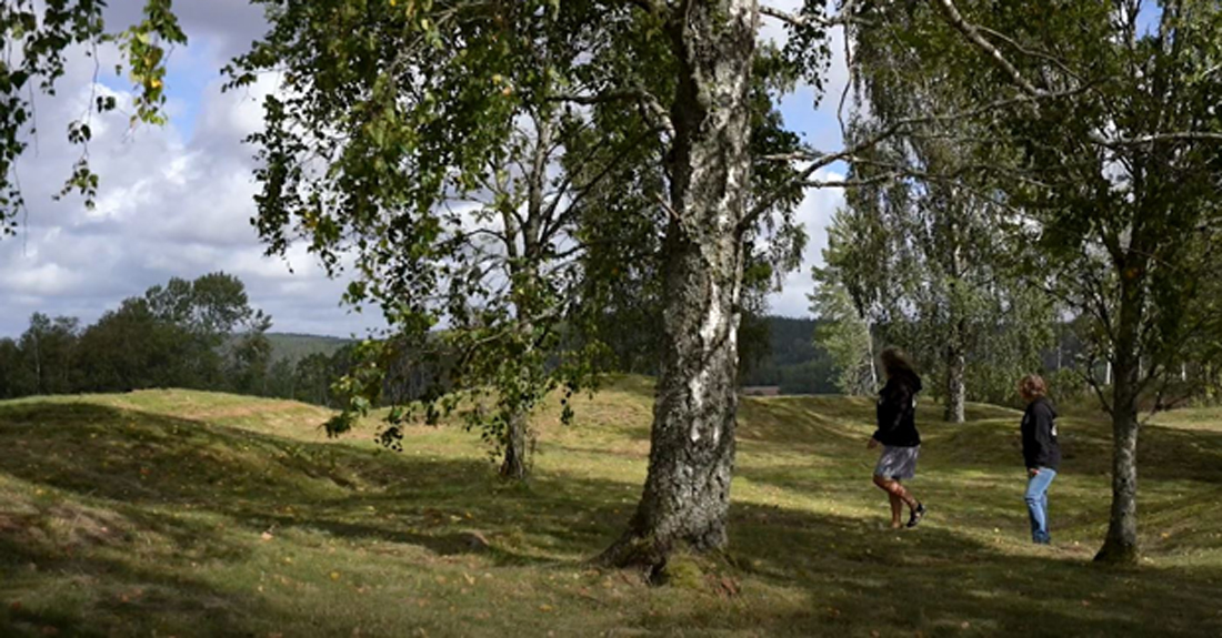 Färgfoto av gräsbevuxna kullar och lövklädda björkar. Två människor går mellan kullarna.