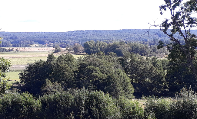 Färgfoto med över en odlad slätt med skogbevuxna berg i bakgrunden. I förgrunden står lövträd i sluttningen ner mot slätten.