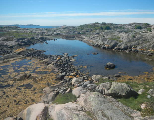 Foto. Berghällar med havet i bakgrunden. En knähög stenmur avgränsar en damm från en vik.