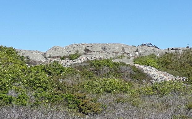 Utspridda stenar med växtlighet framför och högre berg ett stycke bakom.