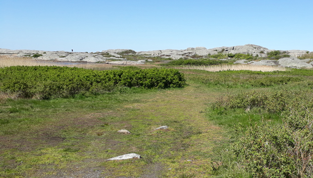 I förgrunden en nedtrampad yta och en stig som försvinner genom buskage. I bakgrunden ses bergen. 