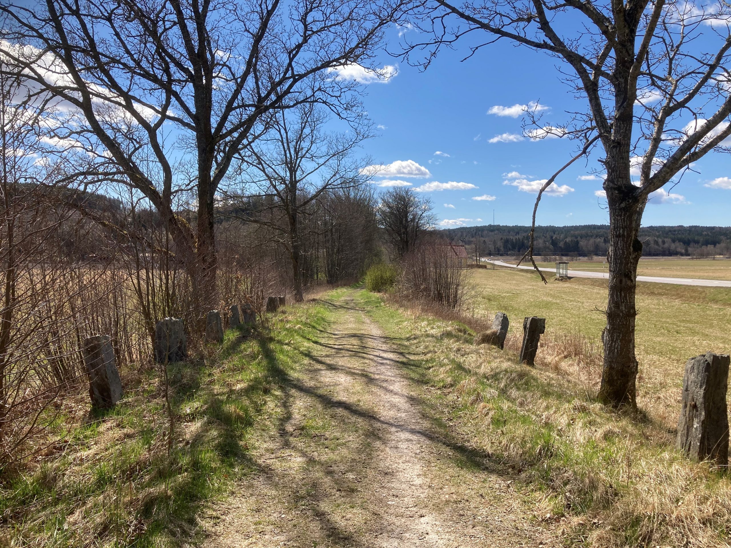 Färgfoto av en delvis gräsbevuxen väg kantad av resta stenar.