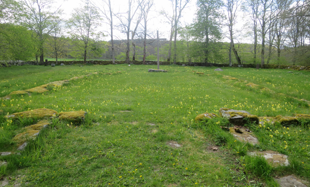 Färgfoto med grön gräsyta med gullvivor och utlagda stenar. Stenmur och rad med lövträd i bakgrunden.