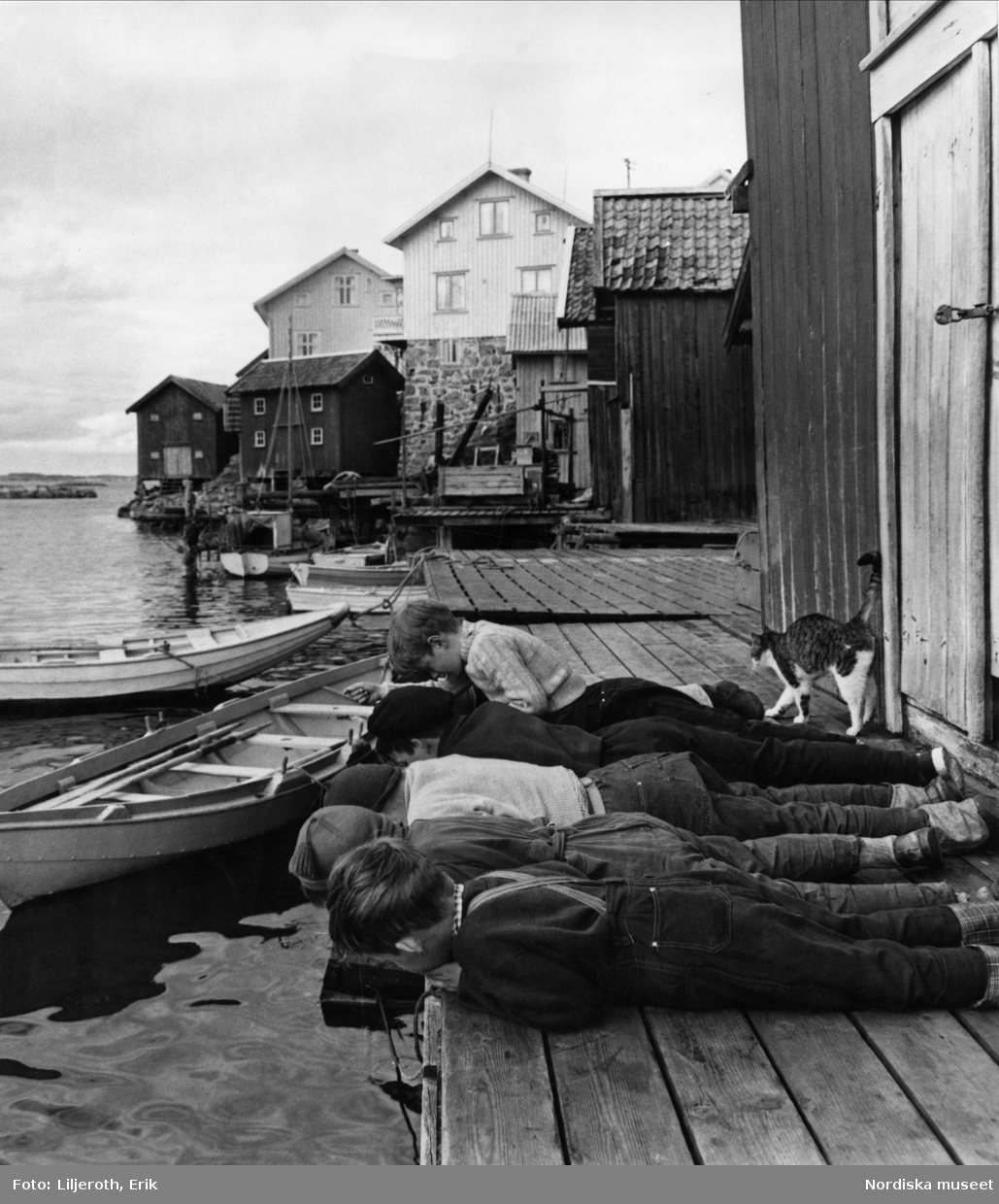 Svartvitt foto. Fem barn i 10-årsåldern ligger på magen på en brygga och tittar ner i vattnet. I bakgrunden, sjöbodar och bostadshus i trä. 