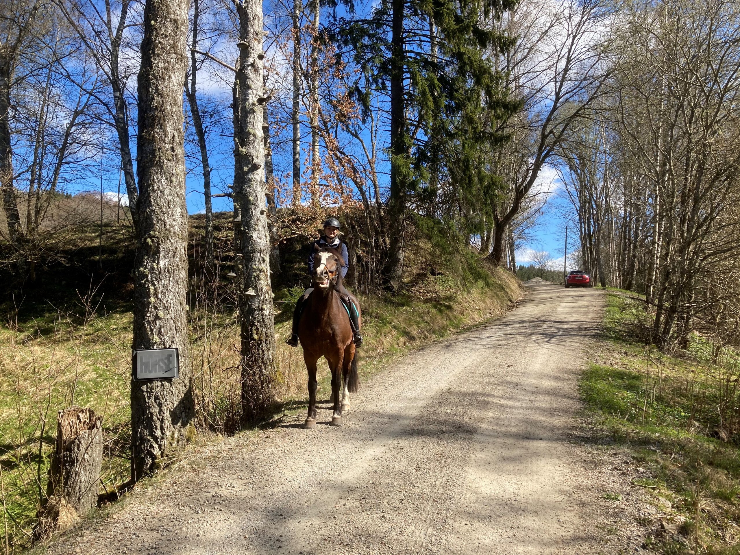 Färgfoto av en grusväg med en ryttare till häst.
