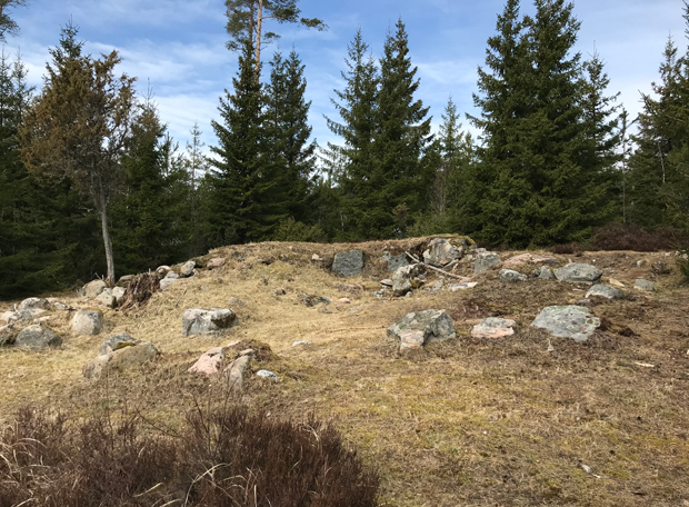 Färgfoto av en stenig kulle som har röjts från träd och buskar.