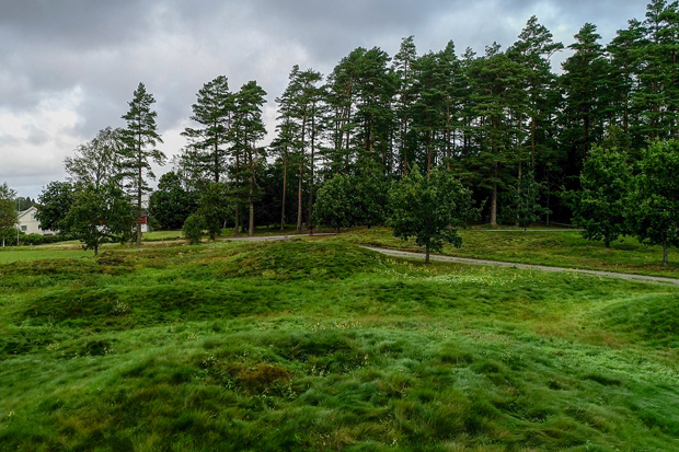 Färgfoto med öppen gräsklädd yta med flera stycken, upp till meterhöga, gravhögar. På andra sidan en grusväg ses en tallskog.