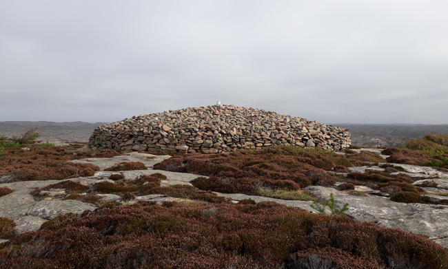 Dag Tryggo (minska risken, skapa säker, handlar också, harmonisk tillvaro) Dag Tryggo