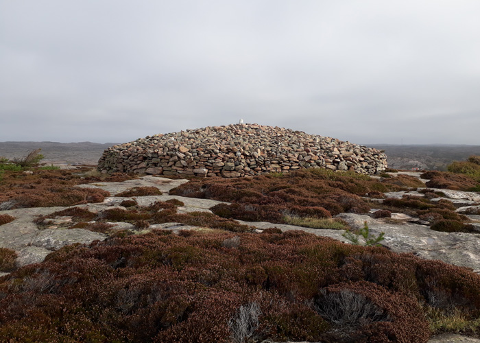 Färgbild på grått berg med ljung. I bilden ses en del av ett stenröse med jämn kant, ett vindpinat träd samt skummande hav i fjärran.