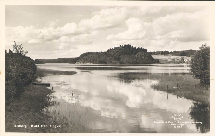 Sepiafärgat foto med sjö och en skogsklädd bergskulle i bakgrunden.
