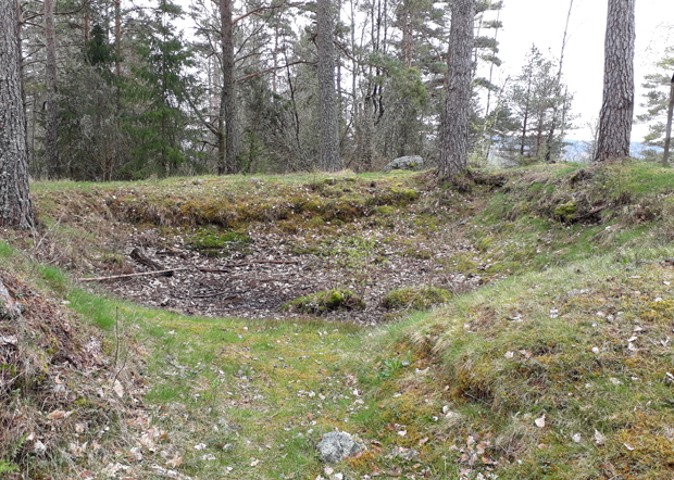 Foto. Glänta i en barrskog med en flack grop, till ytan cirka 4 gånger 4 meter.