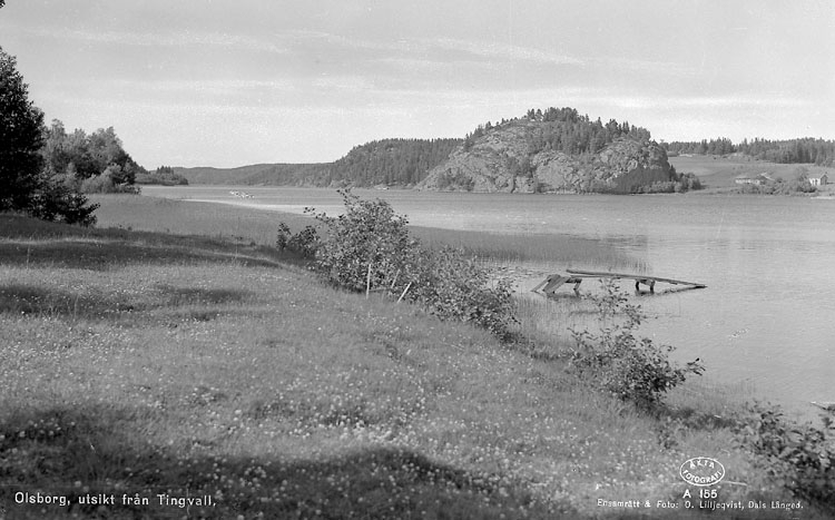 Svartvitt foto med vatten och ett trädbevuxet berg i bakgrunden.