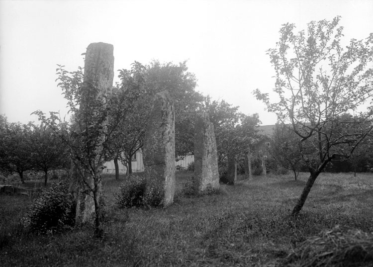 Svartvitt foto med höga resta stenar i förgrunden och utsikt mot berg långt borta.