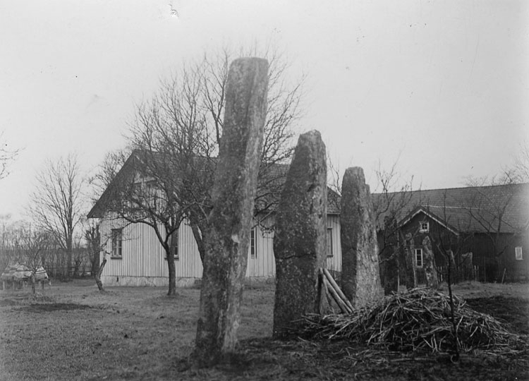 Svartvitt foto på bautastenar i rad framför ett vitt bostadshus.