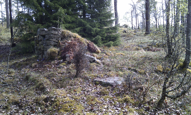 Färgfoto på rester av en mossig murad spismur på en liten öppen yta i skogen.