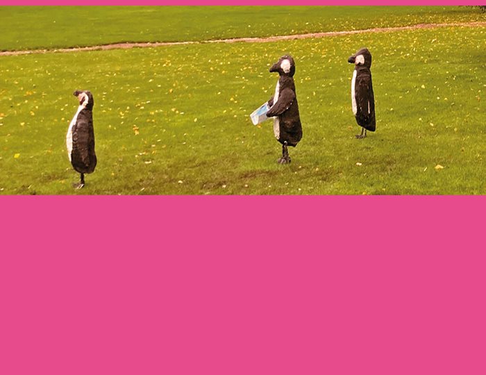 Foto. Foto av tre personer utklädda till pingviner på en grön sommaräng. Fotot är lagt på en bakgrund i magenta.