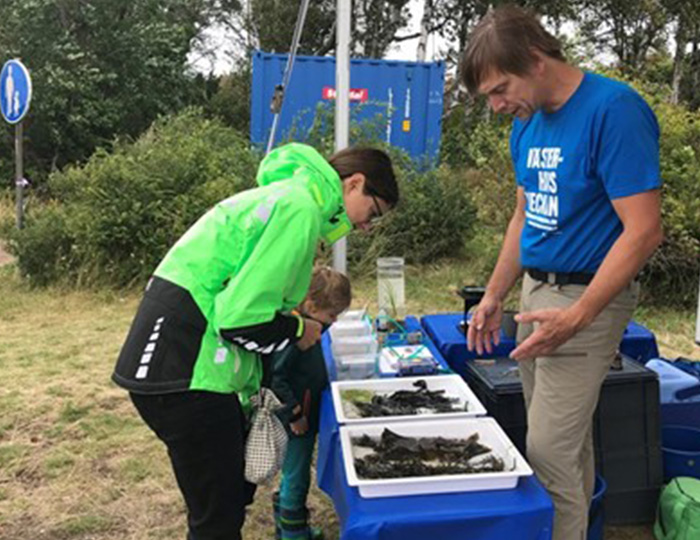 En man står i blå tröja och visar olika fiskarter för en kvinna och ett barn. Kvinnan har på sig en neongrön jacka och barnet en svart jacka. Både kvinnan och barnet står böjda över fiskarna.