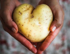 Foto: Två händer håller en potatis. Potatisens form liknar ett hjärta.