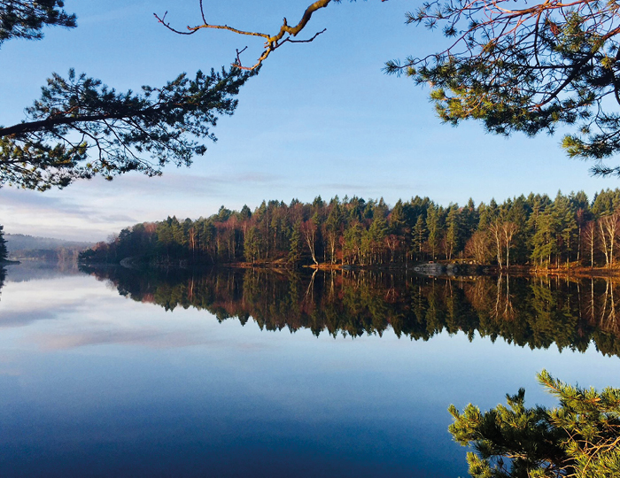 Foto. Sjö i stilla väder och blå himmel. Skog i horisonten.