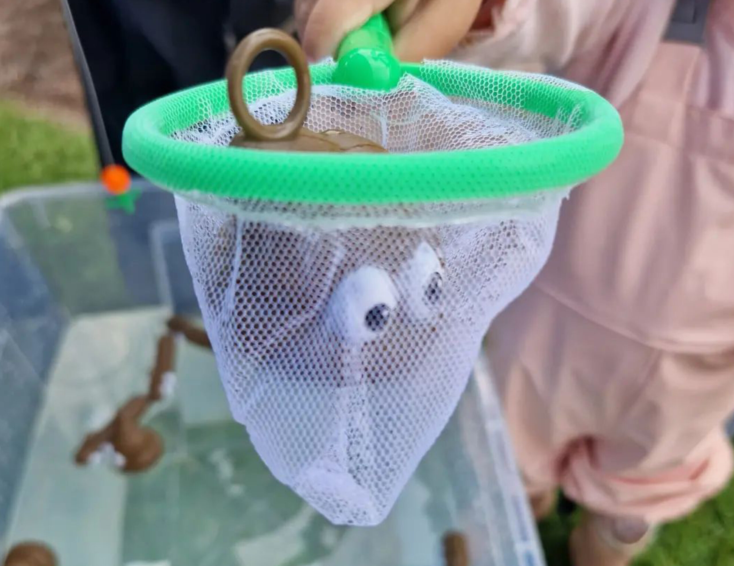 foto. Leksakshov med grön ring och två ögon på. Någon håller fram hoven som är i närbild, i den ligger något som ser ut som en plastbajs.